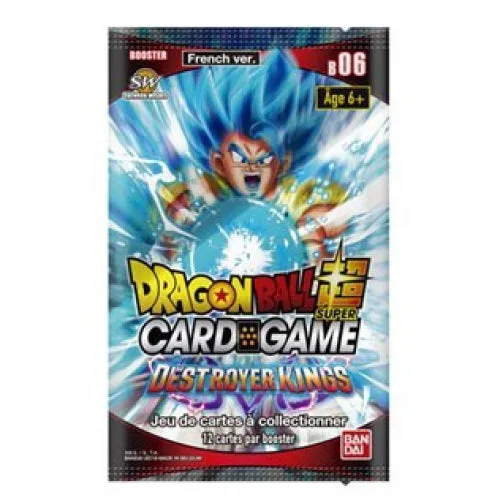 Dragon Ball Super Masters &ndash; Lot de 2 boosters Destroyer Kings B06 &ndash; FR